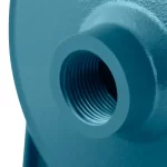 Bomba de Agua Centrifuga 1HP RONIX RH-4021 INDUSTRIAL - Imagen 3